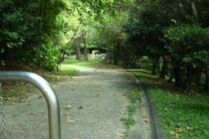 森川公園の風景３