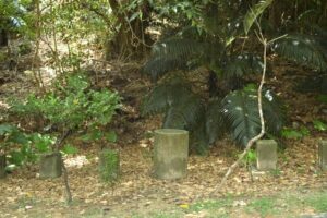 森川公園にあるベンチ