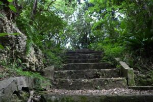 大山貝塚の階段の風景