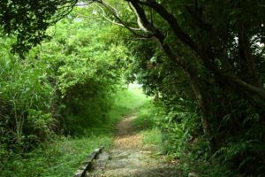 大山貝塚の帰り道