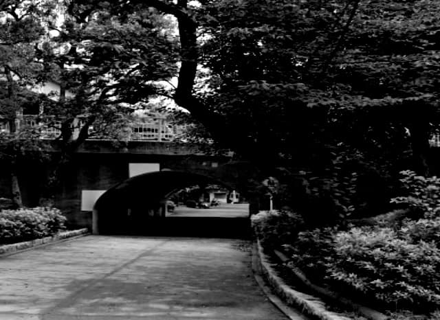 牛嶋神社の近くにあるトンネルの外観