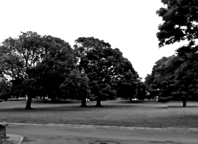 篠崎公園の風景