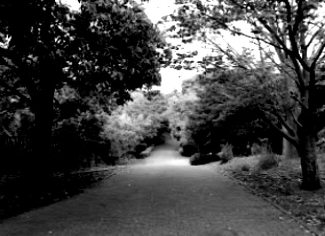 本牧山頂公園（隠れた人工霊山）の外観