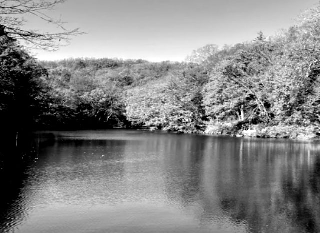 震生湖の外観