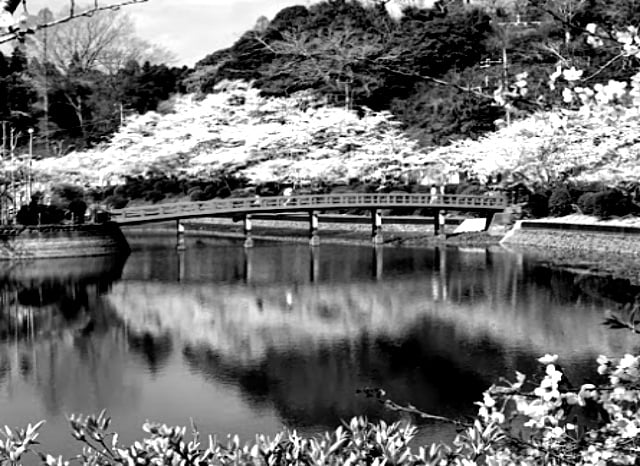 茂原公園|ウワサの心霊話