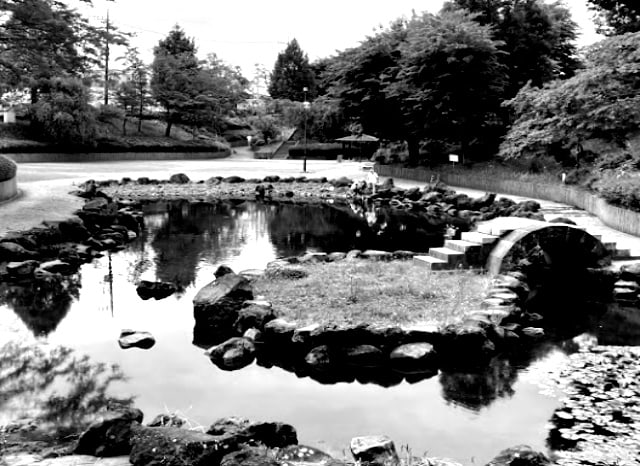 五領沼公園の外観