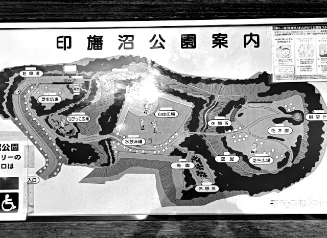 千葉県立印旛沼公園の案内図