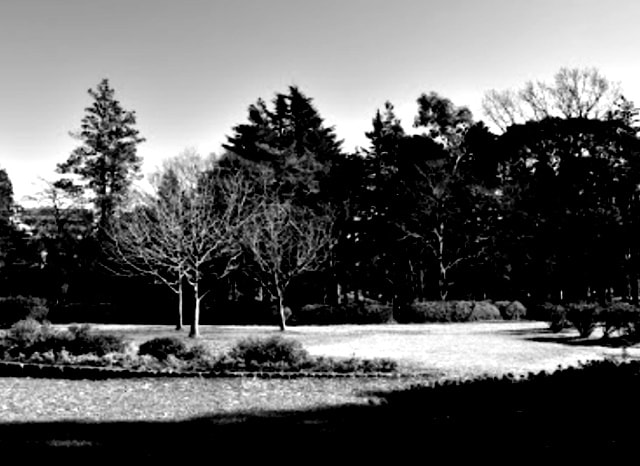 松戸中央公園の外観