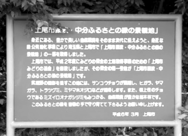 藤波・中分ふるさとのみどりの景観地の外観