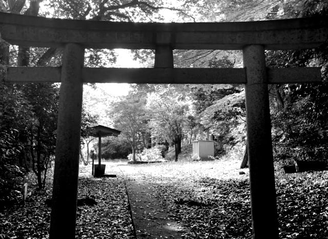 勧農城跡の鳥居