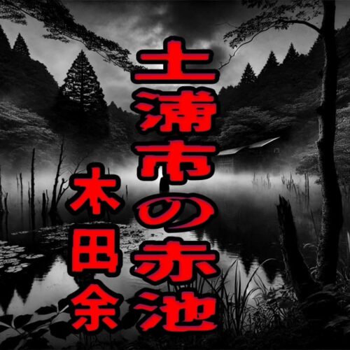 土浦市の赤池（木田余）