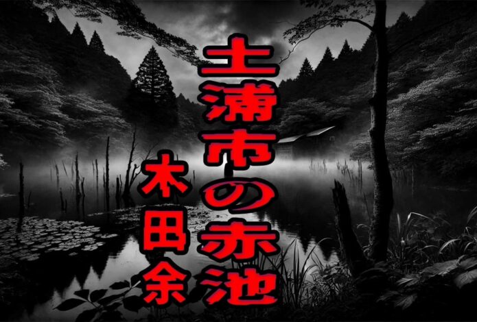 土浦市の赤池（木田余）