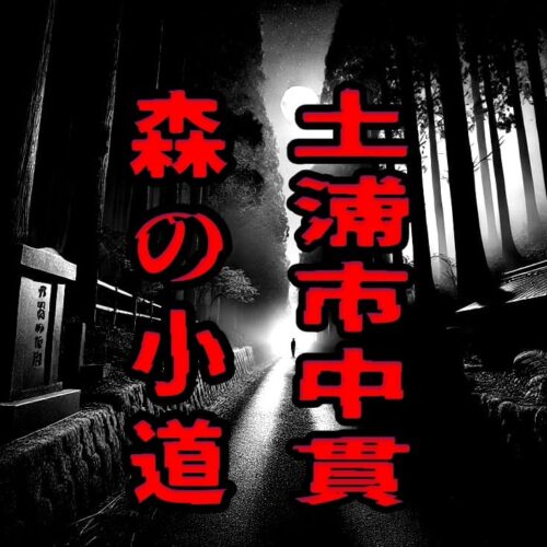 土浦市中貫 森の小道