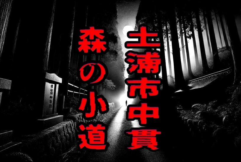 土浦市中貫 森の小道