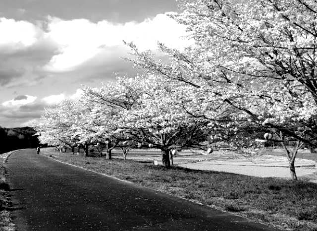 辰ノ口親水公園の外観