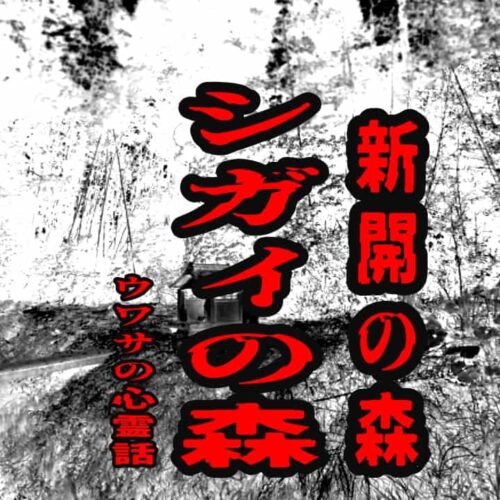 シガイの森（新開の森）のウワサの心霊話