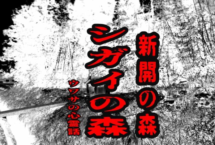 シガイの森（新開の森）のウワサの心霊話