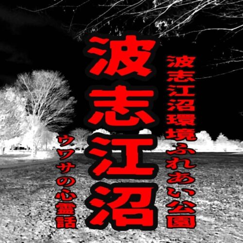 波志江沼（波志江沼環境ふれあい公園）のウワサの心霊話