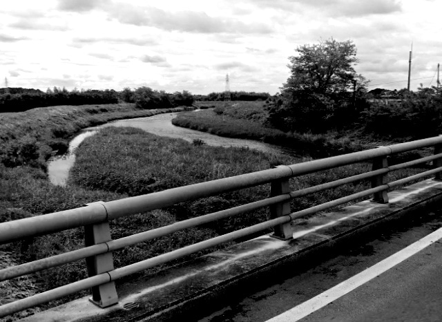 淀橋（壬生町）の外観