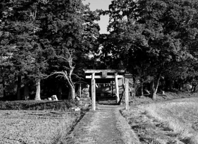 藤宮神社の外観