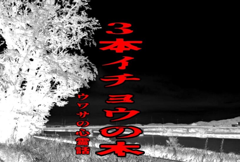 3本イチョウの木のウワサの心霊話