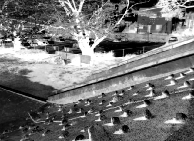 上水公園の外観