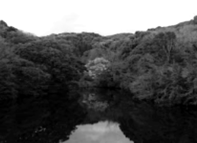 五万ヶ池の外観