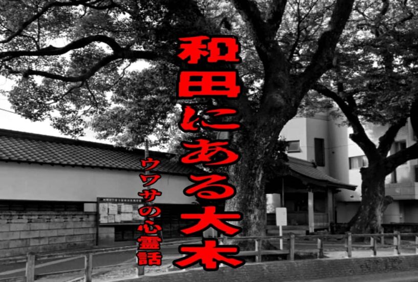 和田にある大木のウワサの心霊話