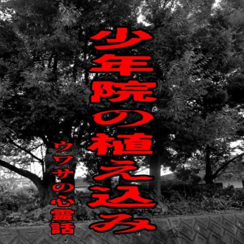 少年院の植え込みのウワサの心霊話
