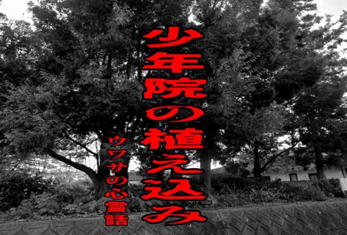 少年院の植え込みのウワサの心霊話