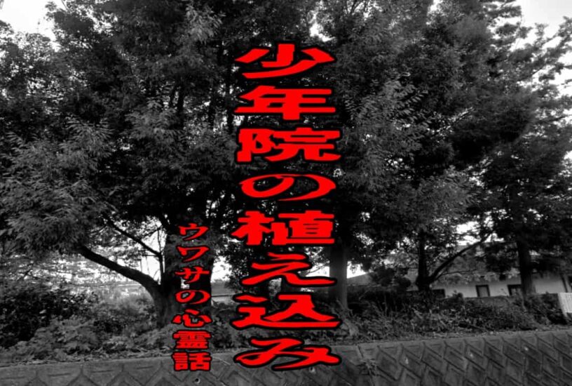 少年院の植え込みのウワサの心霊話