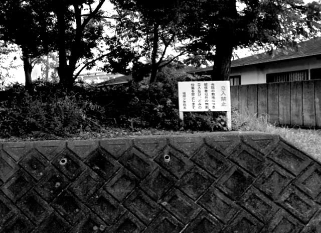 少年院の植え込みの外観
