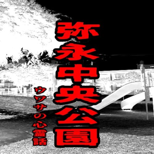 弥永中央公園のウワサの心霊話
