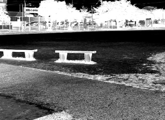 弥永中央公園の外観