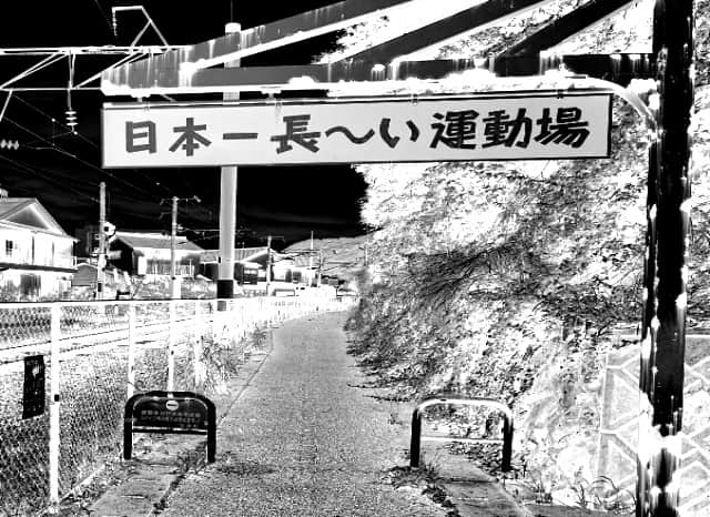 日本一長～い運動場の外観