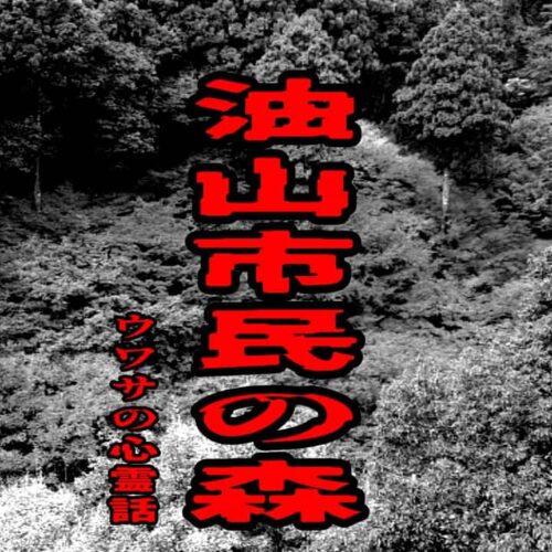 油山市民の森のウワサの心霊話