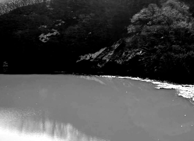 温海川ダムの外観