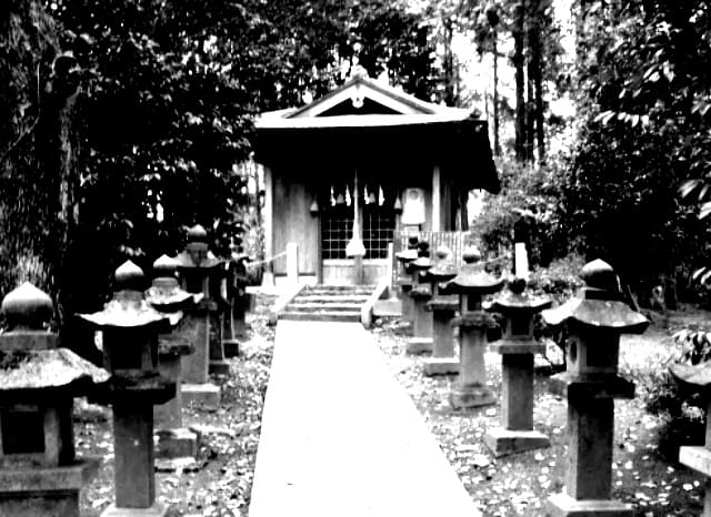 琴平岳の外観