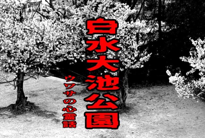 白水大池公園のウワサの心霊話