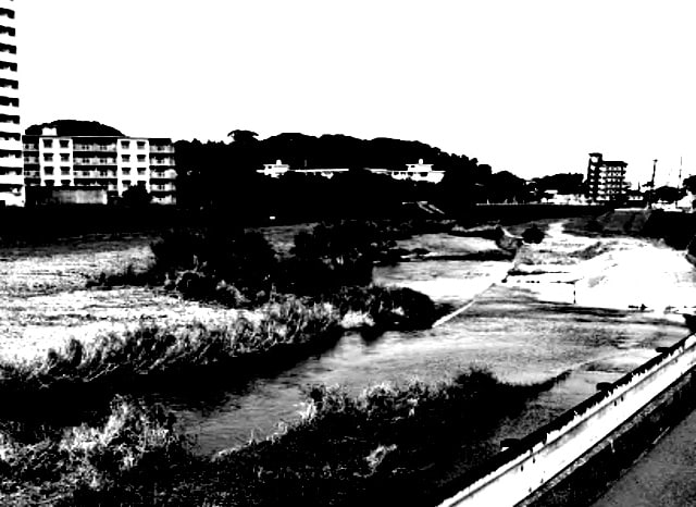 紫川の外観