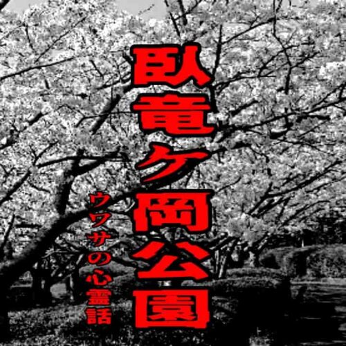 臥竜ケ岡公園のウワサの心霊話