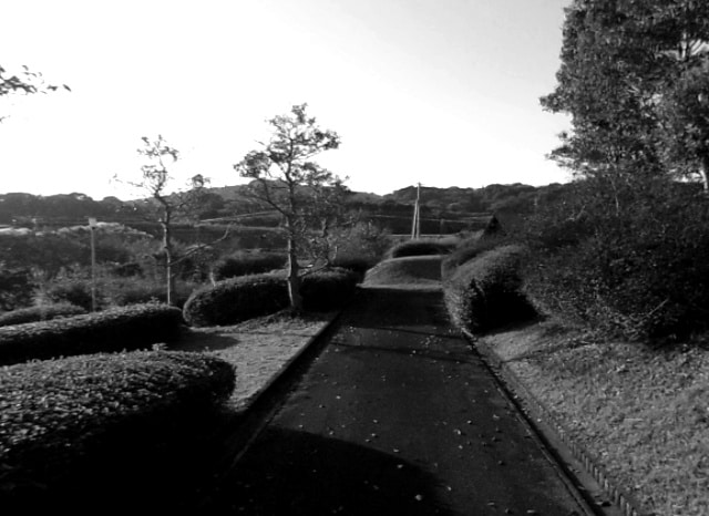 臥竜ケ岡公園の外観