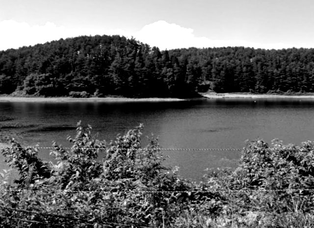 荒沼の外観