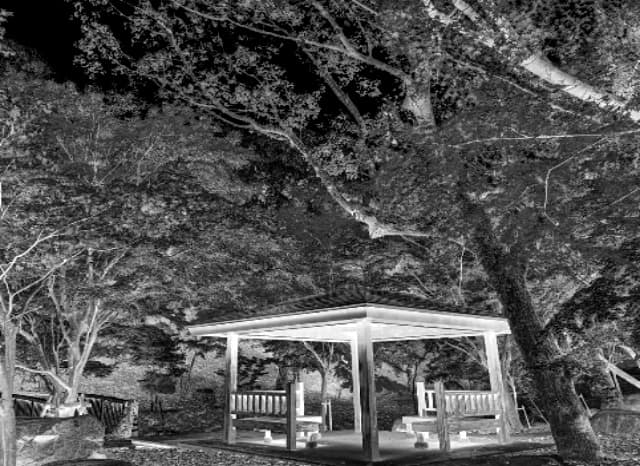 西公園の外観