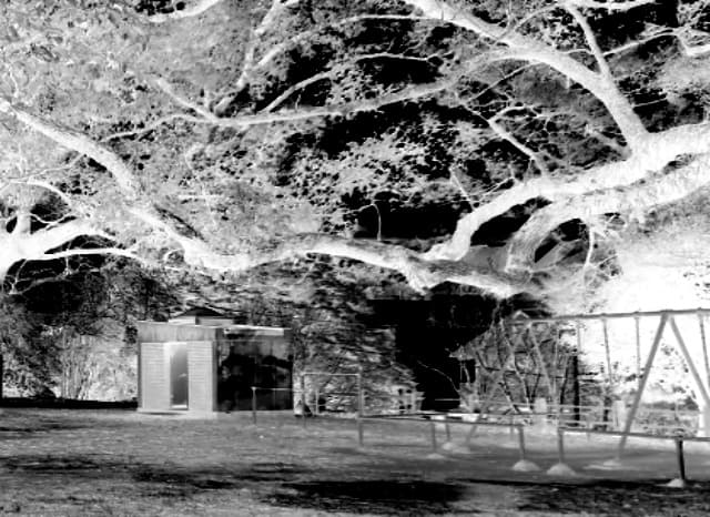 谷公園の外観