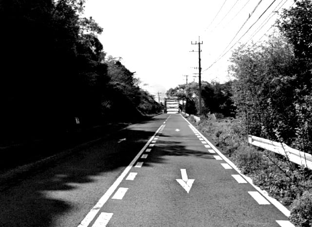 赤首の外観