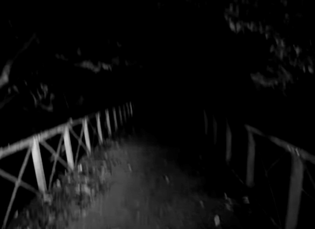 首吊り橋の外観