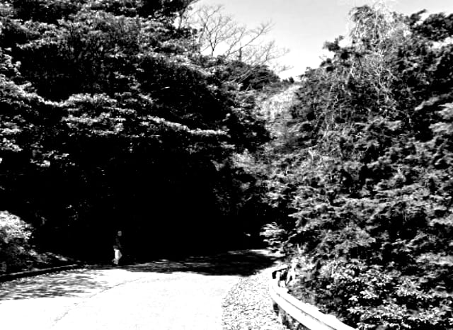 高良山の外観