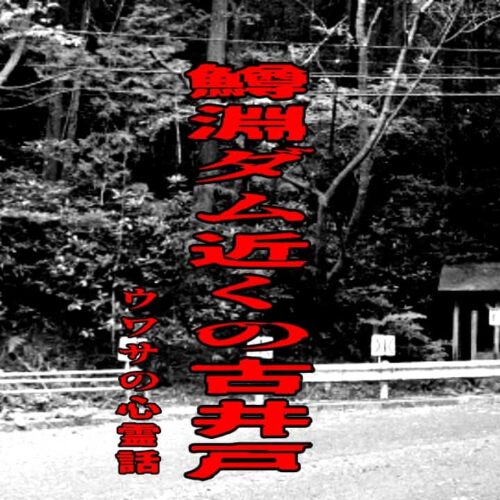 鱒淵ダム近くの古井戸のウワサの心霊話