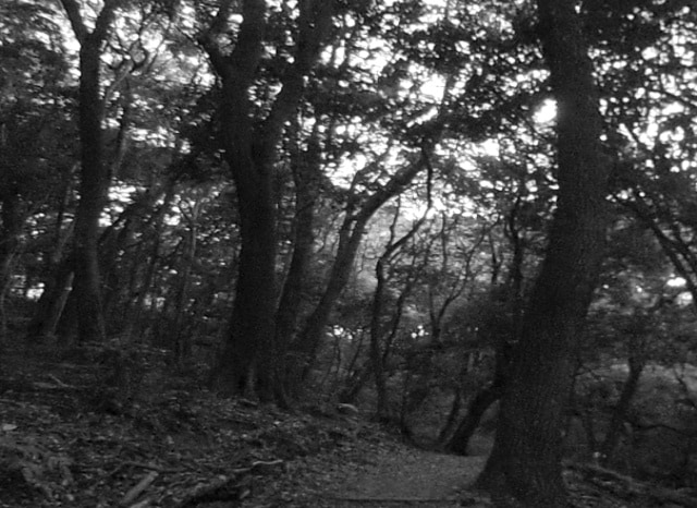 鴻巣山緑地の外観